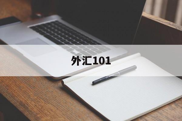 外汇101(外汇1013资金)